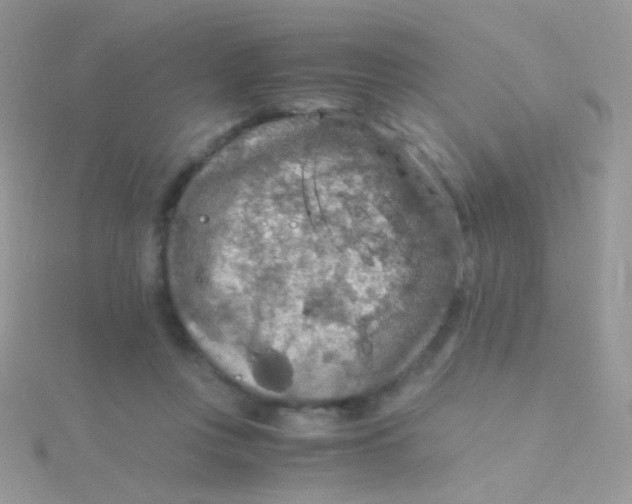 X0000115410359200911241332