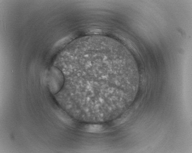 X0000115410361200911241332