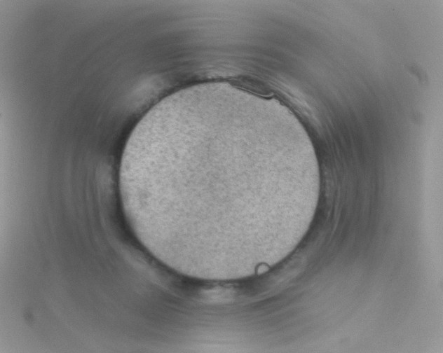 X0000115410362200911241332