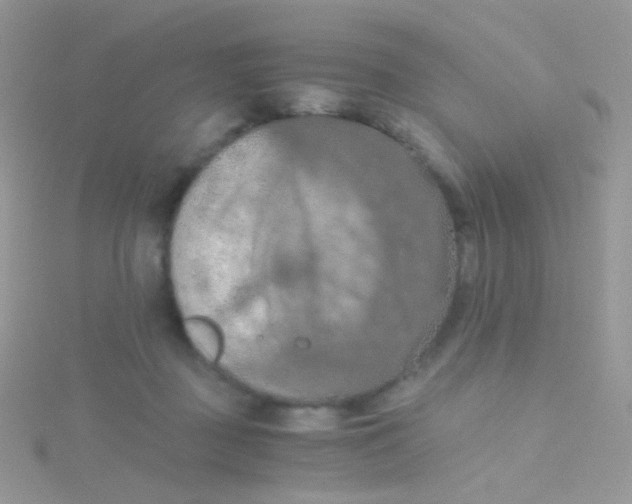 X0000115410363200911241332