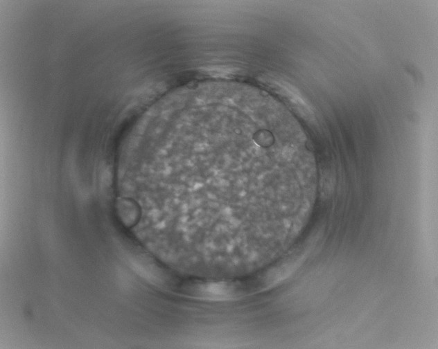 X0000115410365200911241332