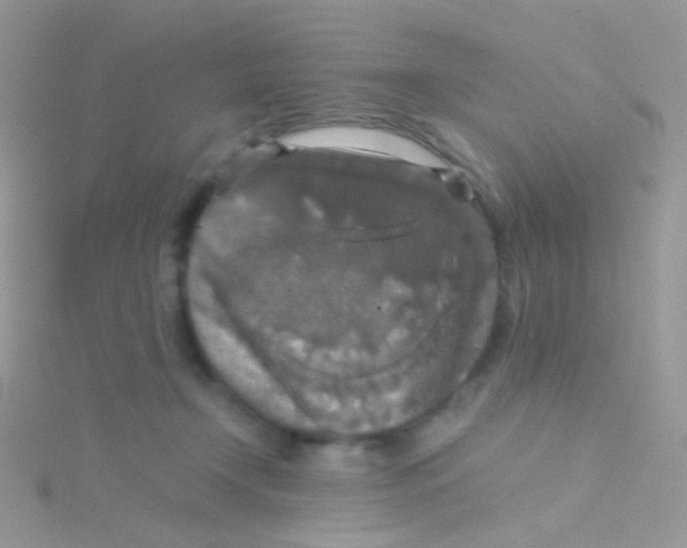 X0000115410366200911241332