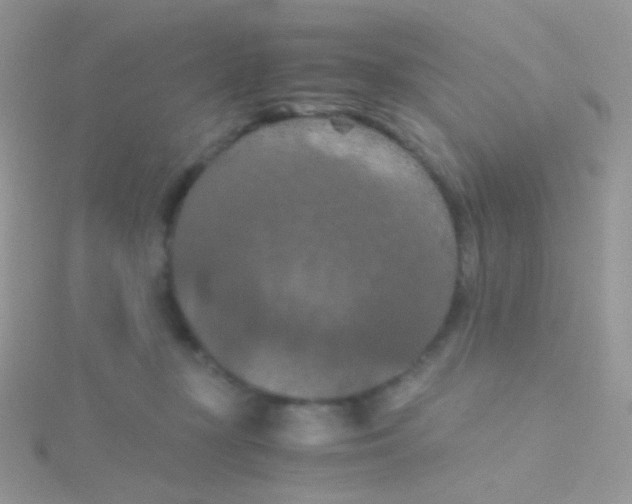 X0000115410367200911241332