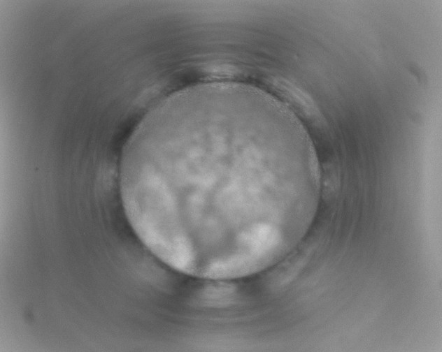 X0000115410369200911241332