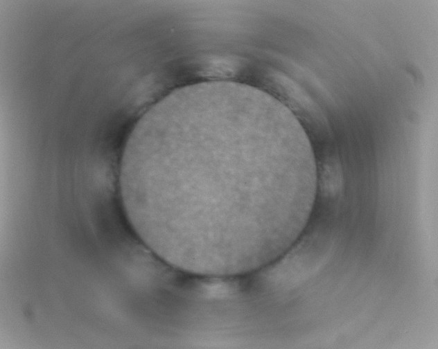 X0000115410370200911241332