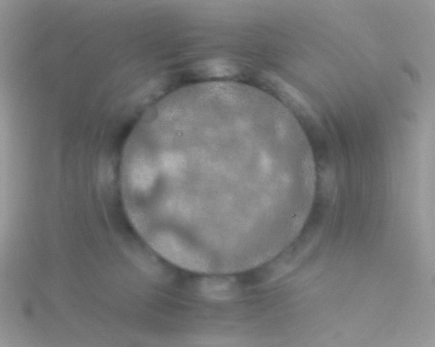 X0000115410373200911241333