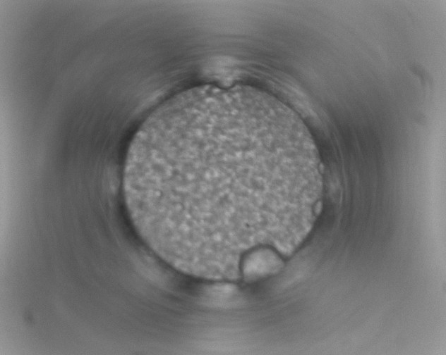 X0000115410374200911241333