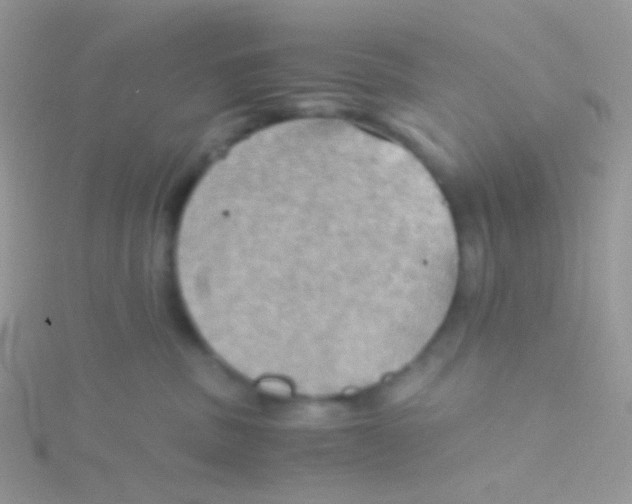 X0000115410379200911241333