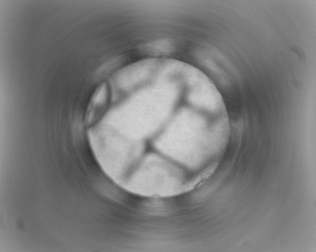 X0000115410381200911241333