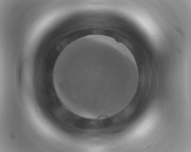 X0000115410383200911241333