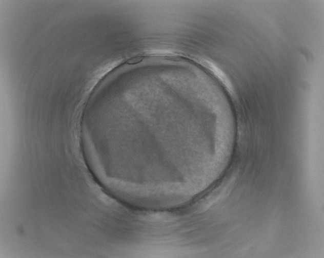 X0000115410385200911241332