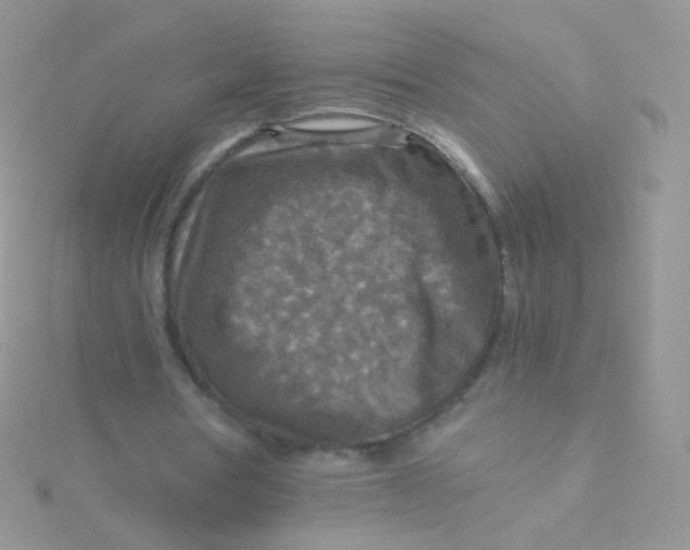 X0000115410386200911241332