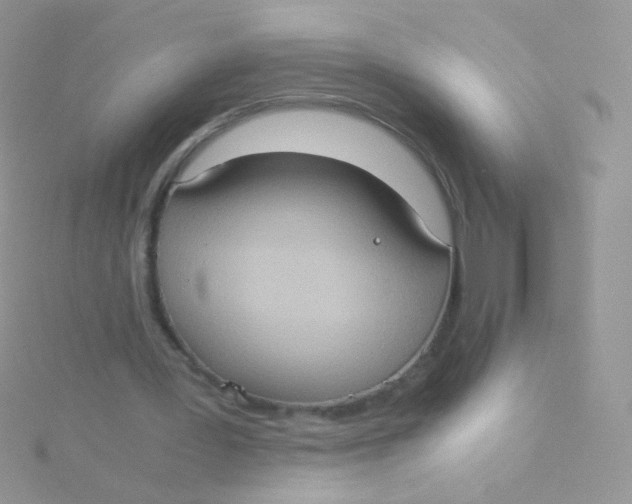 X0000115410387200911241332