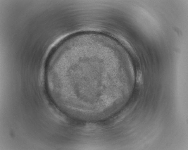 X0000115410388200911241332