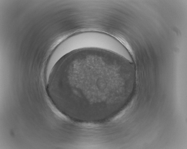 X0000115410389200911241332