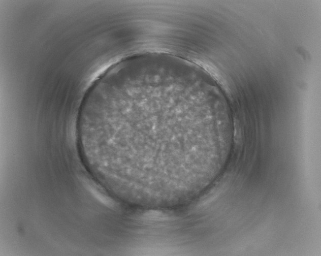 X0000115410390200911241332