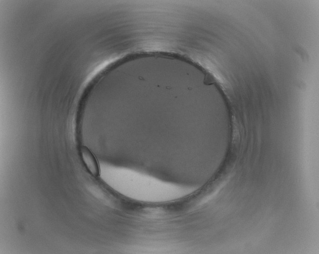 X0000115410391200911241332