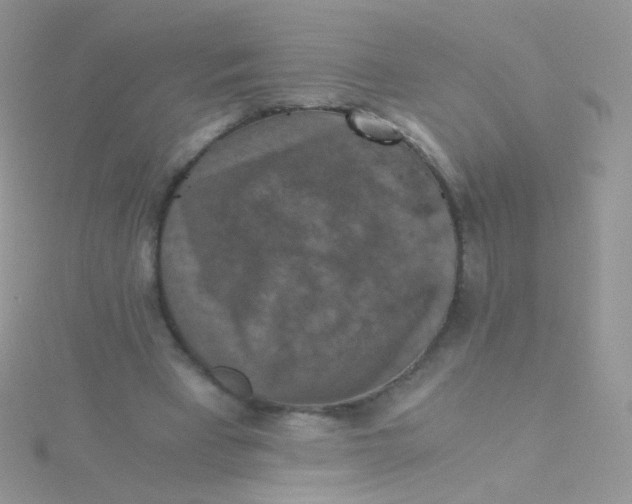 X0000115410393200911241332