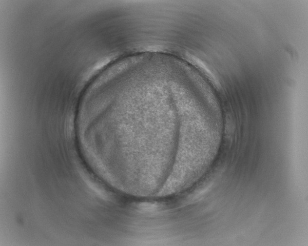 X0000115410394200911241332