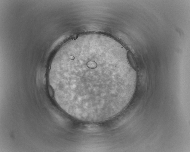 X0000115410395200911241332