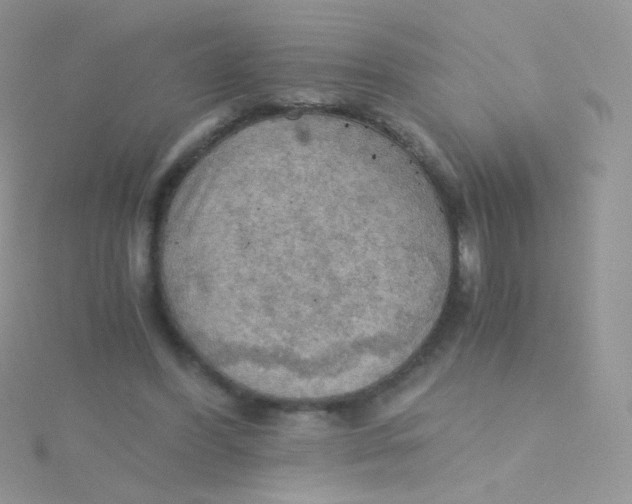 X0000115410396200911241332