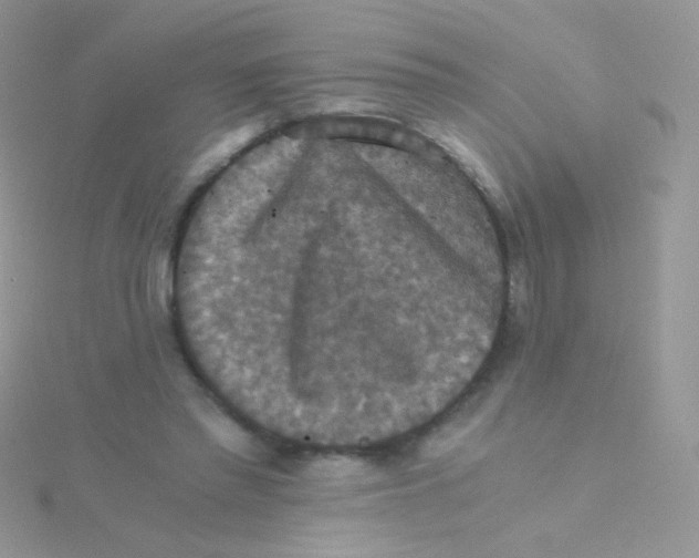 X0000115410397200911241332