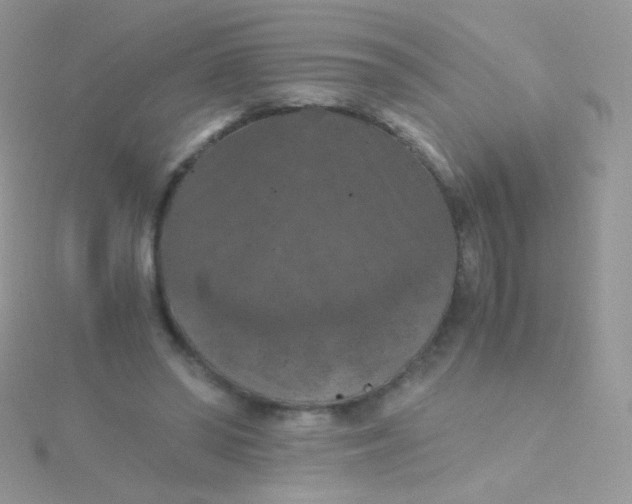 X0000115410398200911241332