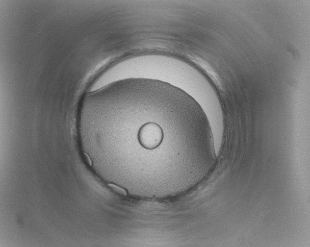 X0000115410399200911241332