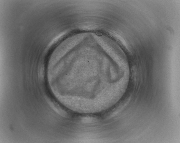 X0000115410400200911241332