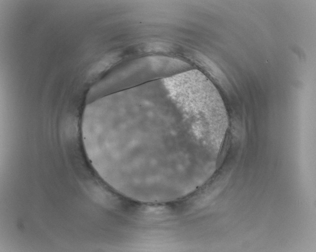 X0000115410401200911241332