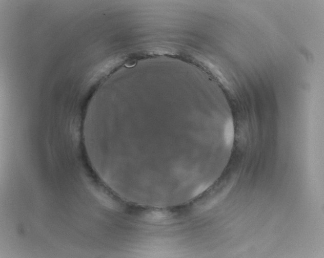 X0000115410402200911241332