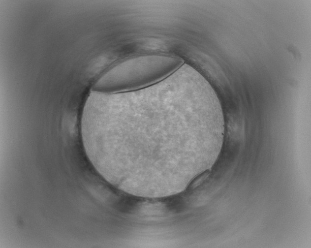 X0000115410403200911241332