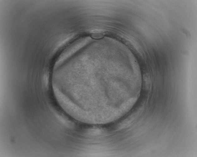 X0000115410404200911241332