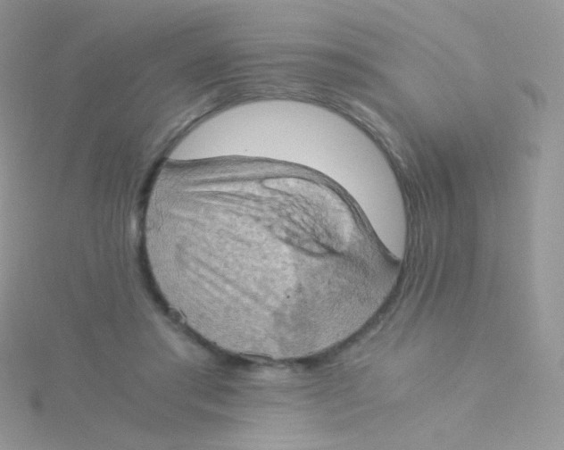 X0000115410405200911241332