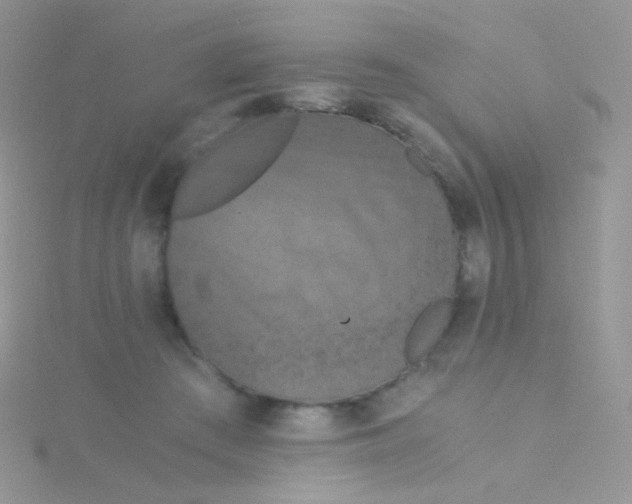 X0000115410409200911241332