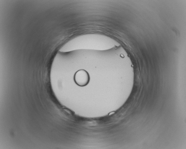 X0000115410411200911241332