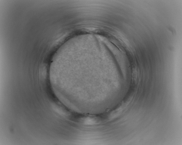 X0000115410412200911241332