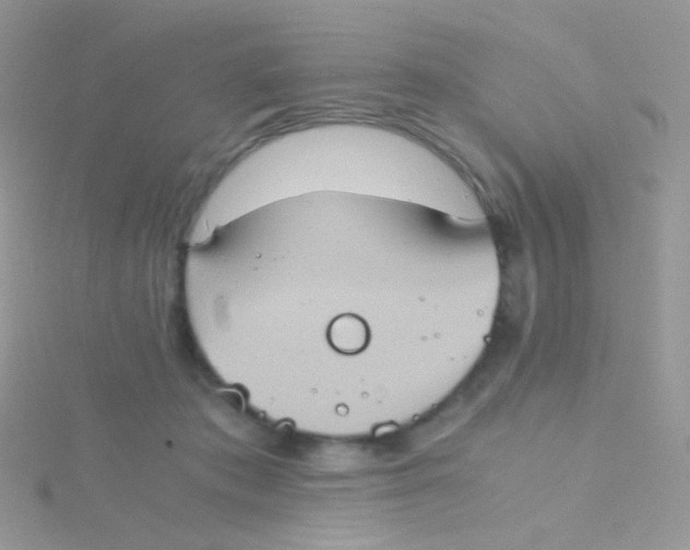 X0000115410413200911241332