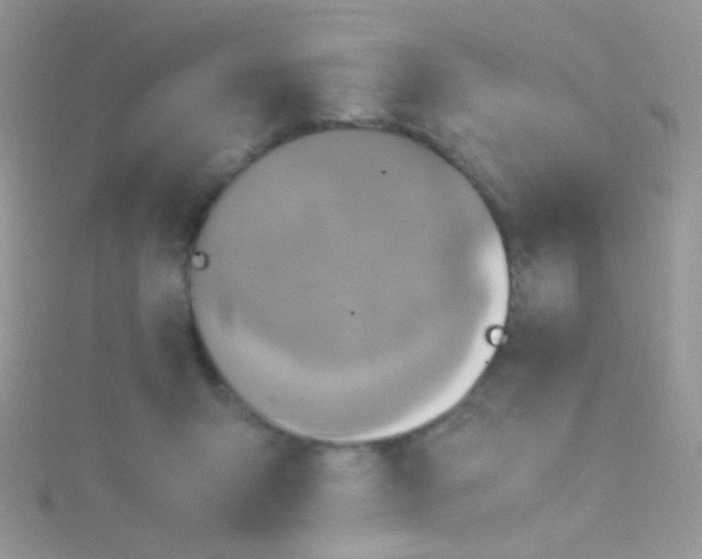 X0000115410415200911241332