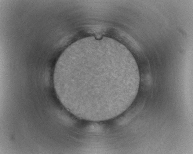 X0000115410416200911241332