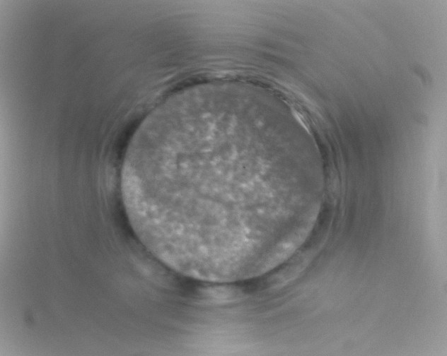 X0000115410417200911241332