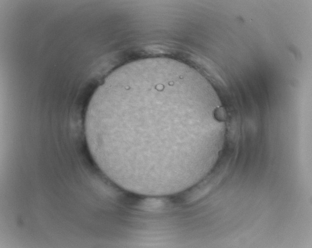 X0000115410418200911241332