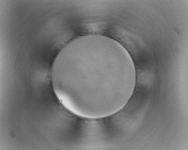 X0000115410419200911241332