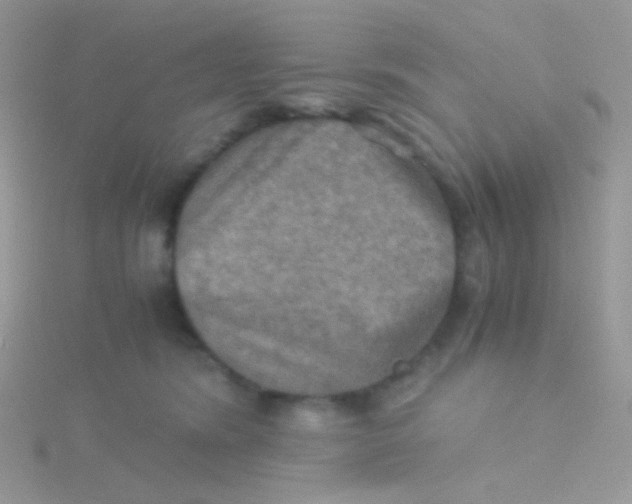 X0000115410420200911241332