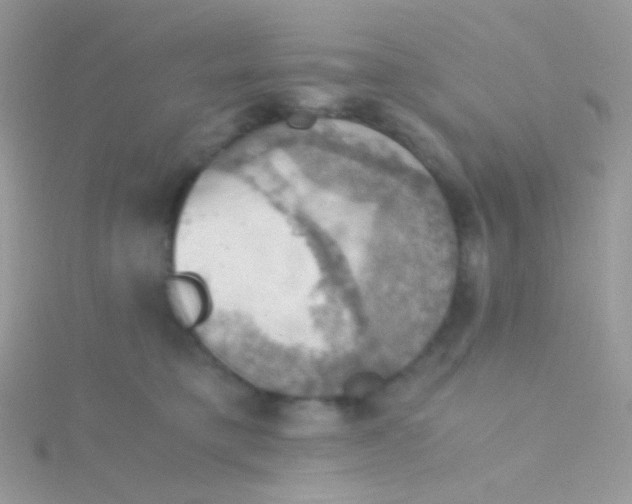 X0000115410421200911241332