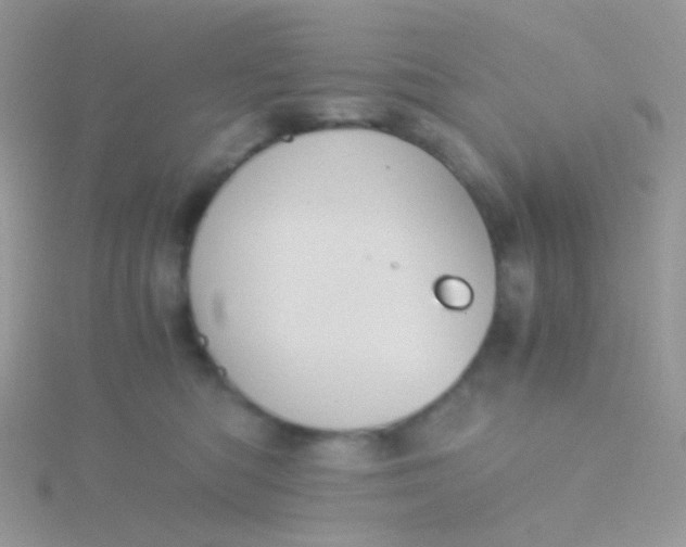 X0000115410422200911241332