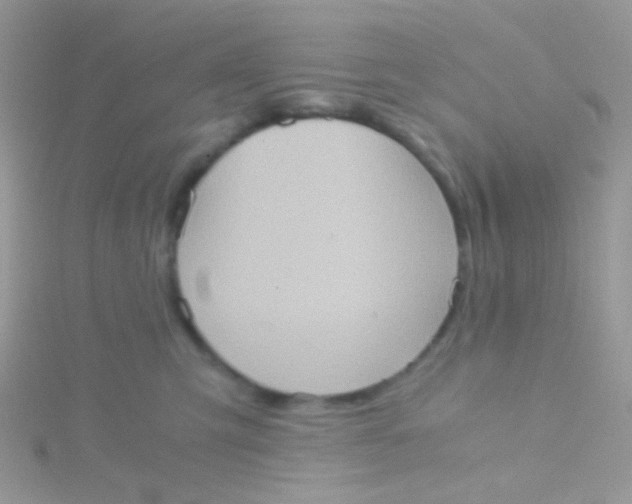 X0000115410423200911241332