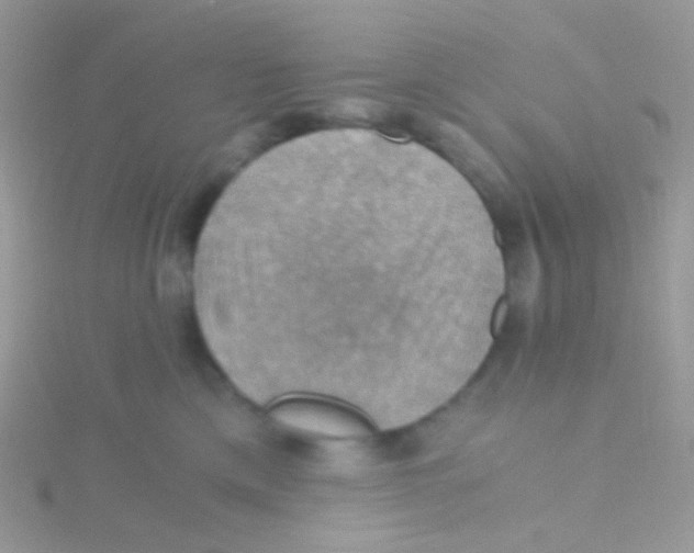 X0000115410425200911241332