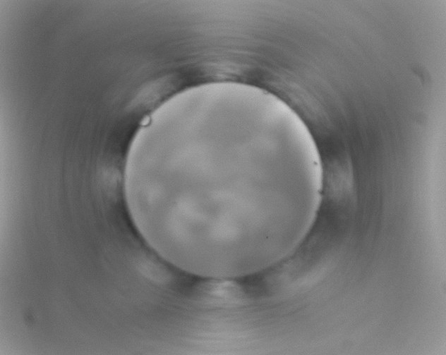 X0000115410427200911241331