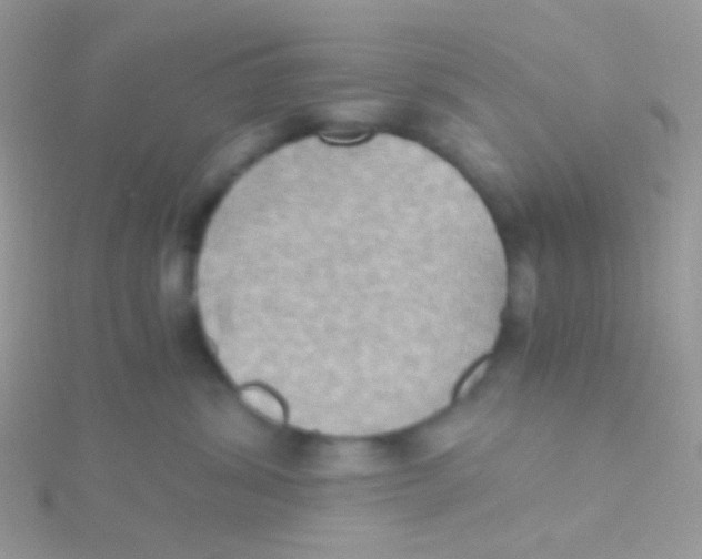 X0000115410428200911241331